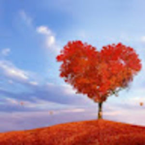 Meet your Posher, Nelisabeth